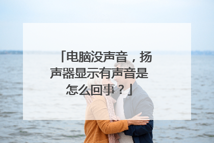 电脑没声音，扬声器显示有声音是怎么回事？