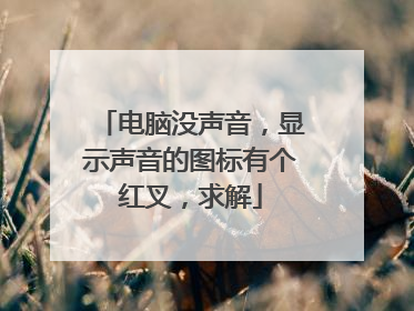 电脑没声音，显示声音的图标有个红叉，求解