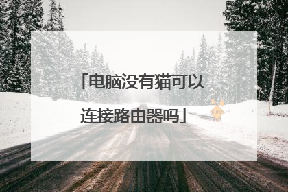 电脑没有猫可以连接路由器吗