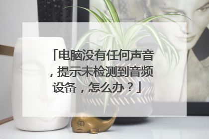 电脑没有任何声音,提示未检测到音频设备,怎么办?