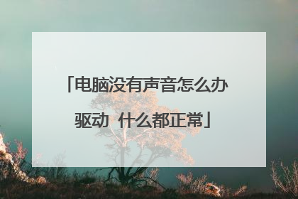 电脑没有声音怎么办 驱动 什么都正常