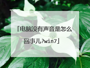电脑没有声音是怎么回事儿?win7