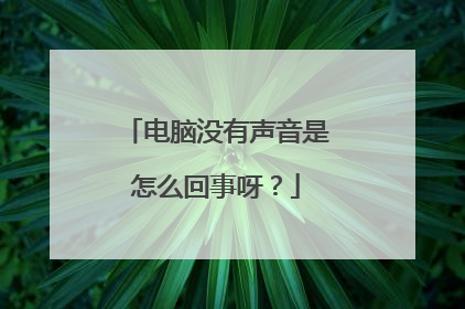 电脑没有声音是怎么回事呀？
