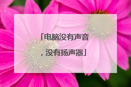 电脑没有声音,没有扬声器