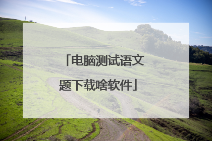 电脑测试语文题下载啥软件