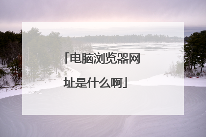 电脑浏览器网址是什么啊