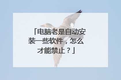 电脑老是自动安装一些软件，怎么才能禁止？