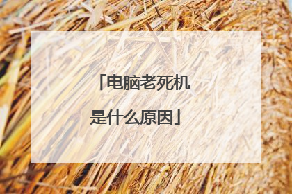 电脑老死机是什么原因