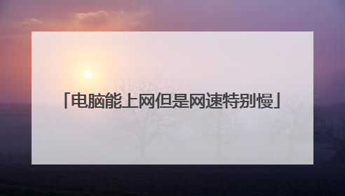 电脑能上网但是网速特别慢