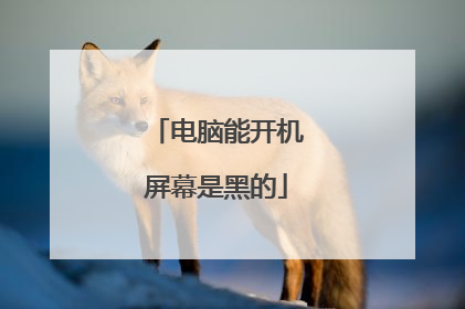 电脑能开机屏幕是黑的