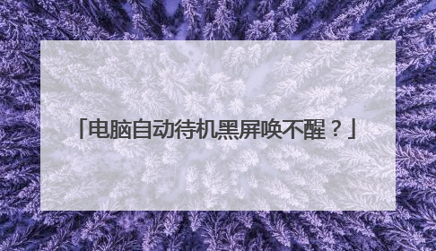 电脑自动待机黑屏唤不醒？