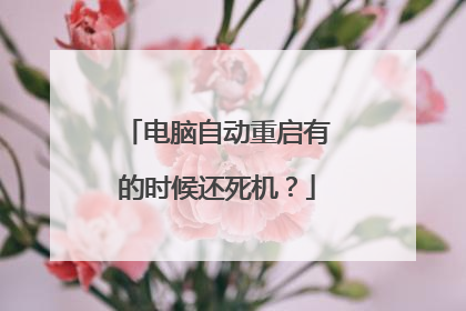 电脑自动重启有的时候还死机?
