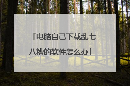 电脑自己下载乱七八糟的软件怎么办