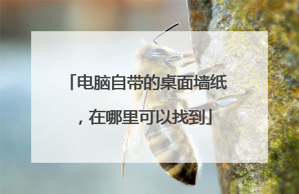 电脑自带的桌面墙纸,在哪里可以找到