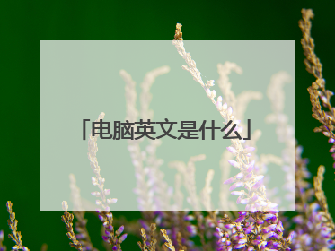 电脑英文是什么