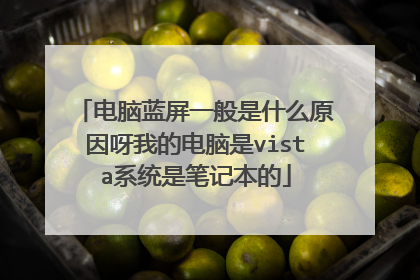 电脑蓝屏一般是什么原因呀我的电脑是vista系统是笔记本的