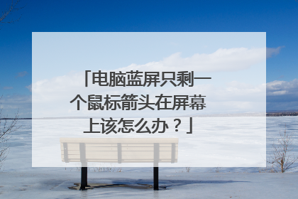 电脑蓝屏只剩一个鼠标箭头在屏幕上该怎么办？
