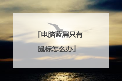 电脑蓝屏只有鼠标怎么办