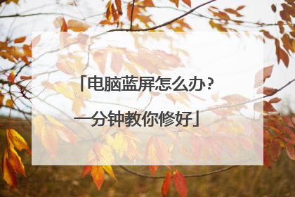 电脑蓝屏怎么办?一分钟教你修好