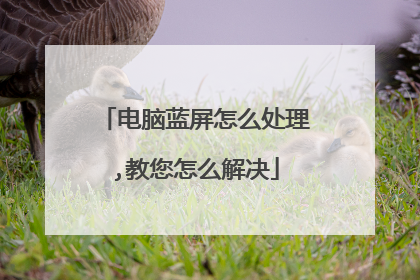 电脑蓝屏怎么处理,教您怎么解决