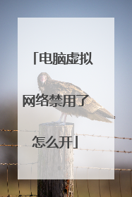 电脑虚拟网络禁用了怎么开