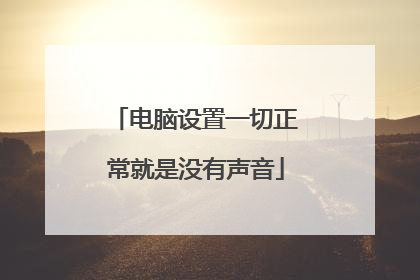 电脑设置一切正常就是没有声音
