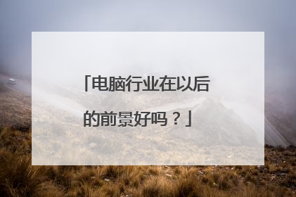 电脑行业在以后的前景好吗?