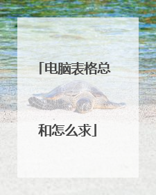 电脑表格总和怎么求