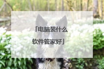 电脑装什么软件管家好