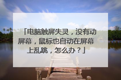 电脑触屏失灵,没有动屏幕,鼠标也自动在屏幕上乱跳,怎么办?