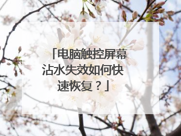 电脑触控屏幕沾水失效如何快速恢复？
