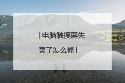电脑触摸屏失灵了怎么修