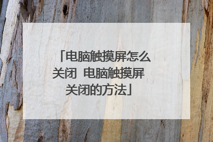 电脑触摸屏怎么关闭 电脑触摸屏关闭的方法