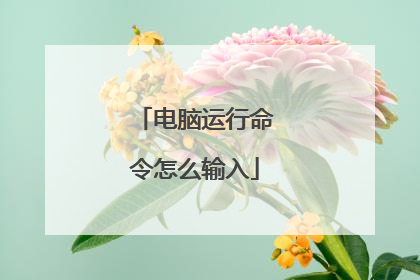 电脑运行命令怎么输入
