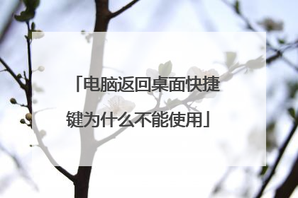 电脑返回桌面快捷键为什么不能使用