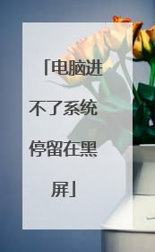 电脑进不了系统停留在黑屏