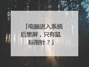 电脑进入系统后黑屏，只有鼠标指针？