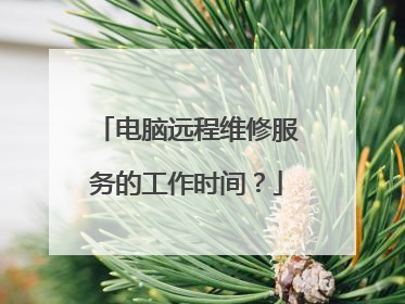 电脑远程维修服务的工作时间?