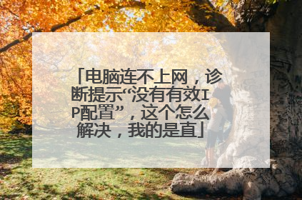 电脑连不上网,诊断提示“没有有效IP配置”,这个怎么解决,我的是直