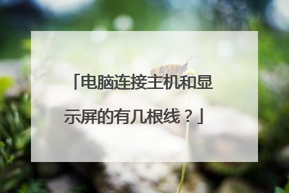 电脑连接主机和显示屏的有几根线?