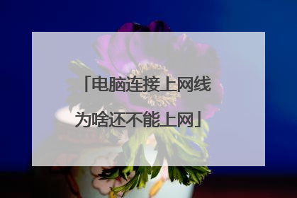 电脑连接上网线为啥还不能上网