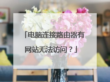 电脑连接路由器有网站无法访问？