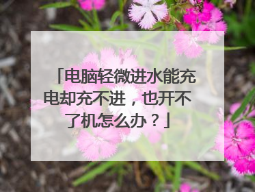 电脑轻微进水能充电却充不进，也开不了机怎么办？