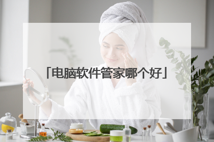 电脑软件管家哪个好