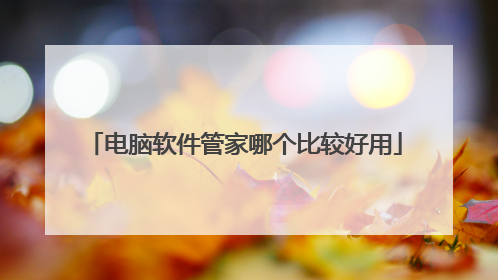 电脑软件管家哪个比较好用