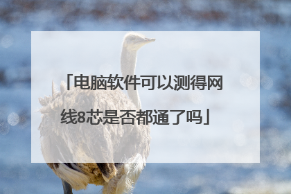 电脑软件可以测得网线8芯是否都通了吗