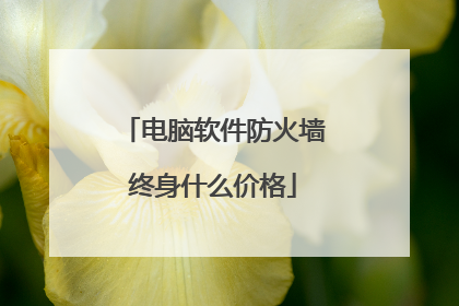 电脑软件防火墙终身什么价格