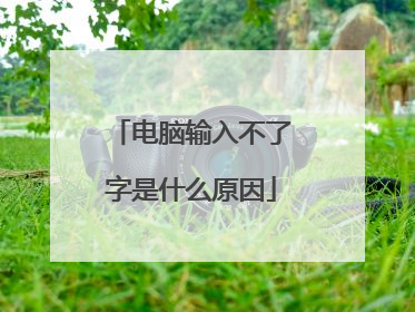 电脑输入不了字是什么原因