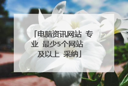 电脑资讯网站 专业 最少5个网站 及以上 采纳