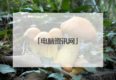 电脑资讯网